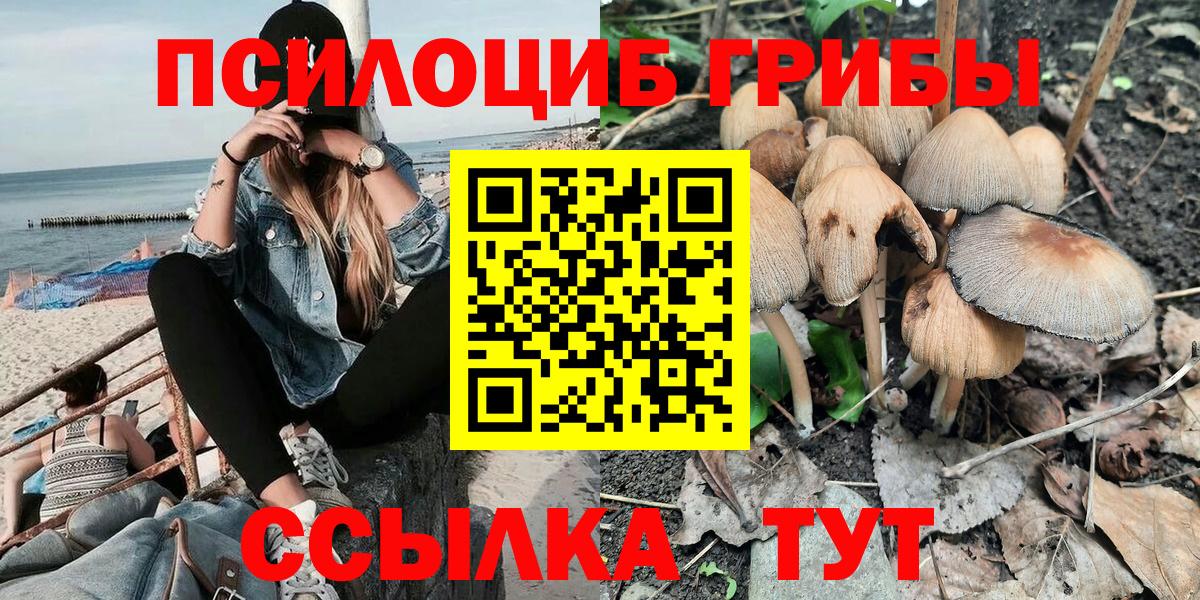 Щёкино  Галлюциногенные грибы GOLDEN TEACHER  Псилоцибиновые грибы Magic Shrooms  Вход с VPN 