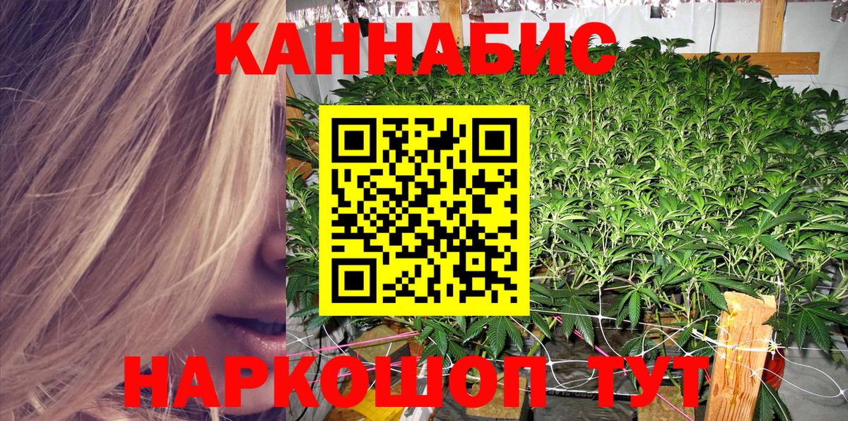 Бошки марихуана планчик Щёкино