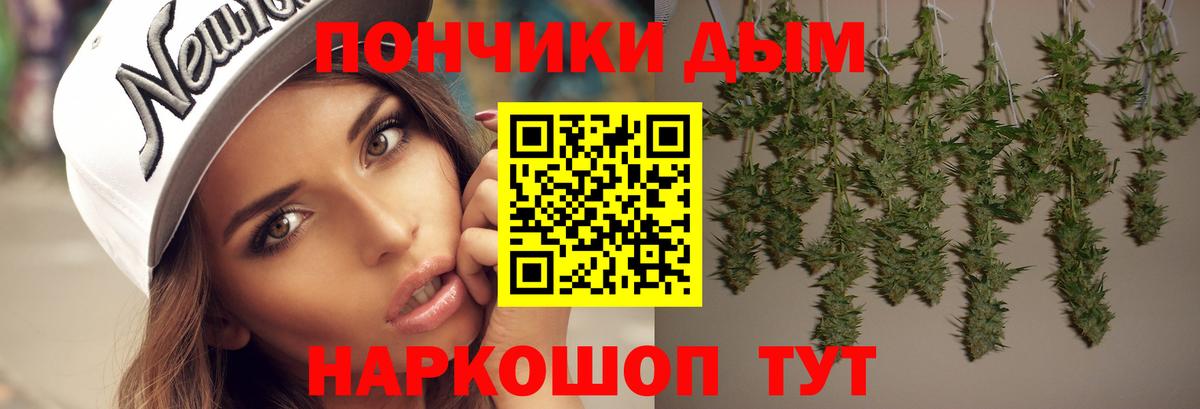 Бошки Шишки сатива  Бошки Шишки семена  Вход с VPN  Щёкино 